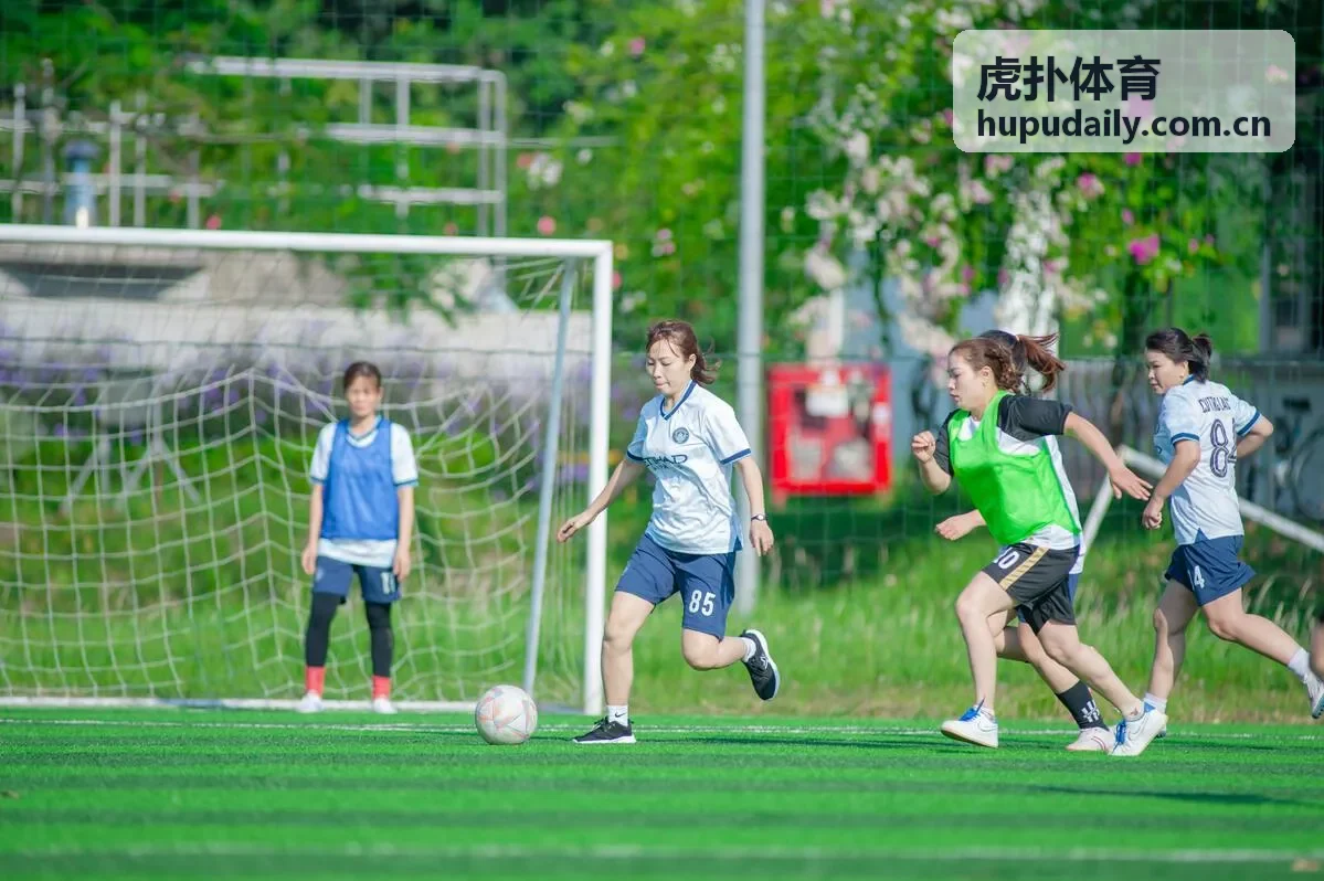 虎扑体育CBA专题 - 国内篮球深度报道